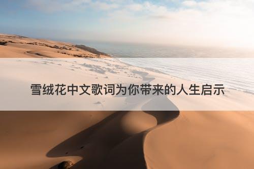 雪绒花中文歌词为你带来的人生启示-图1