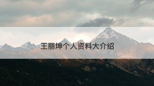 王丽坤个人资料大介绍-图1