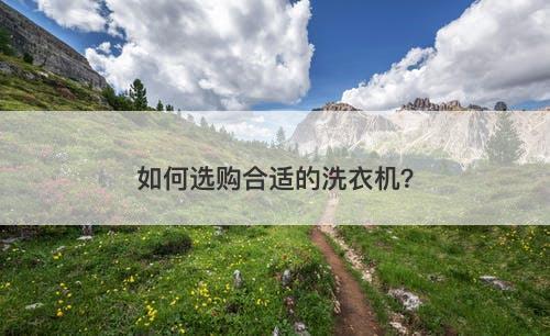 如何选购合适的洗衣机？-图1