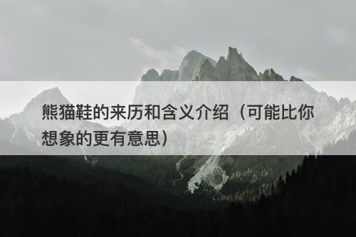 熊猫鞋的来历和含义介绍（可能比你想象的更有意思）-图1