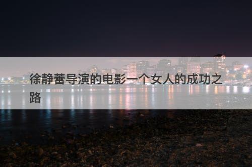 徐静蕾导演的电影一个女人的成功之路-图1