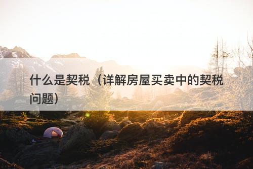 什么是契税（详解房屋买卖中的契税问题）-图1