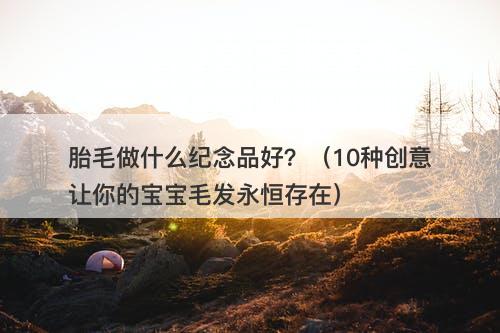 胎毛做什么纪念品好？（10种创意让你的宝宝毛发永恒存在）-图1