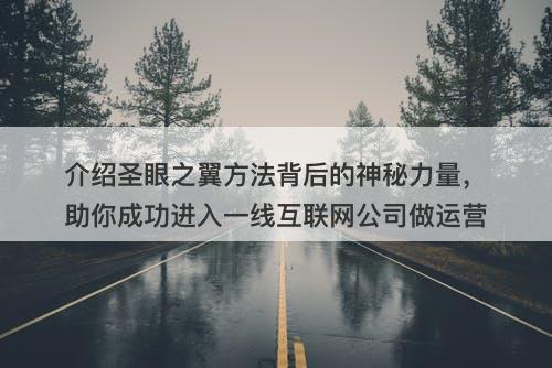 介绍圣眼之翼方法背后的神秘力量，助你成功进入一线互联网公司做运营