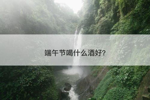 端午节喝什么酒好？-图1