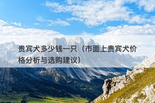 贵宾犬多少钱一只（市面上贵宾犬价格分析与选购建议）-图1