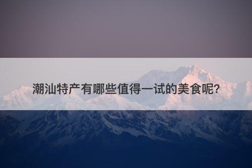 潮汕特产有哪些值得一试的美食呢？