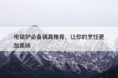 电磁炉必备锅具推荐，让你的烹饪更加美味