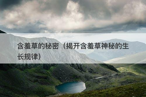 含羞草的秘密（揭开含羞草神秘的生长规律）