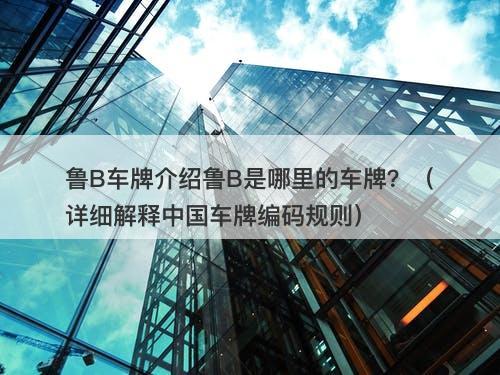鲁B车牌介绍鲁B是哪里的车牌？（详细解释中国车牌编码规则）