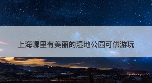 上海哪里有美丽的湿地公园可供游玩