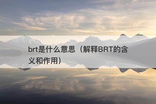 brt是什么意思（解释BRT的含义和作用）