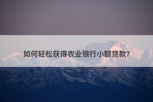 如何轻松获得农业银行小额贷款？