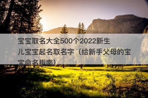 宝宝取名大全500个2022新生儿宝宝起名取名字（给新手父母的宝宝命名指南）