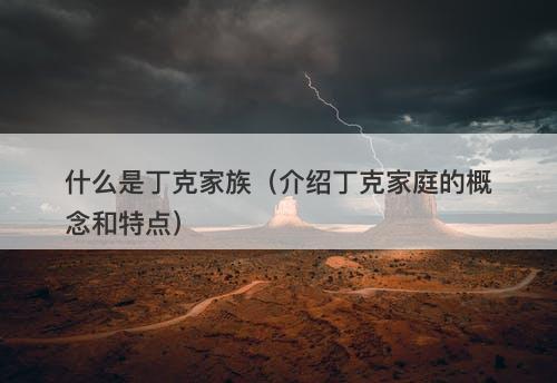 什么是丁克家族（介绍丁克家庭的概念和特点）