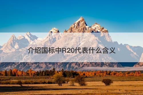 介绍国标中R20代表什么含义