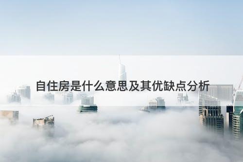 自住房是什么意思及其优缺点分析
