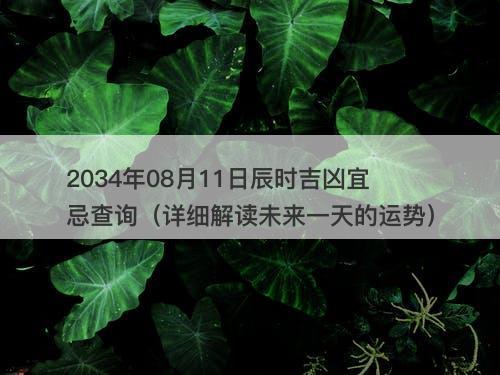 2034年08月11日辰时吉凶宜忌查询（详细解读未来一天的运势）