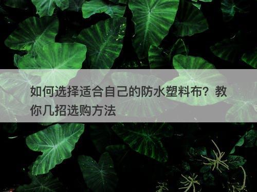 如何选择适合自己的防水塑料布？教你几招选购方法