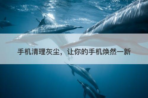 手机清理灰尘，让你的手机焕然一新
