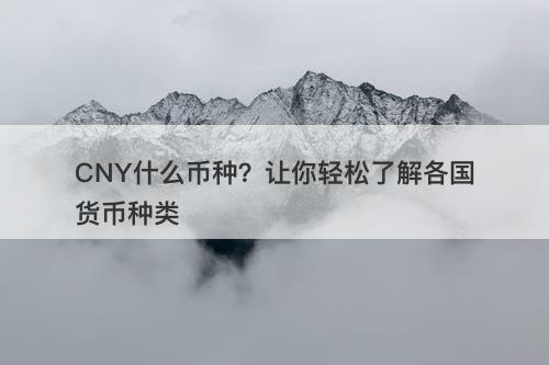 CNY什么币种？让你轻松了解各国货币种类