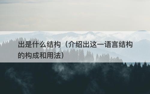 出是什么结构（介绍出这一语言结构的构成和用法）