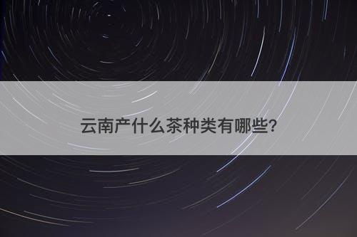 云南产什么茶种类有哪些？