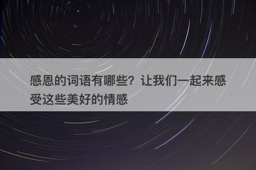 感恩的词语有哪些？让我们一起来感受这些美好的情感