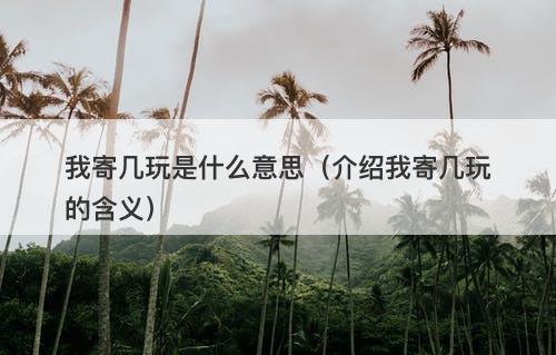 我寄几玩是什么意思（介绍我寄几玩的含义）