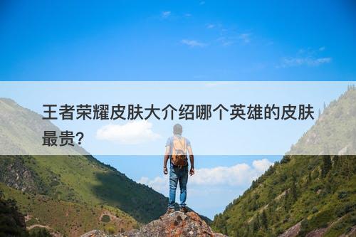 王者荣耀皮肤大介绍哪个英雄的皮肤最贵？