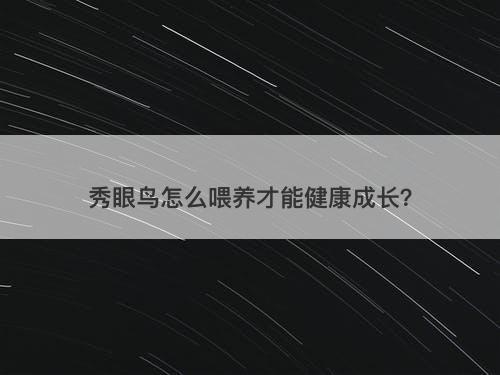 秀眼鸟怎么喂养才能健康成长？
