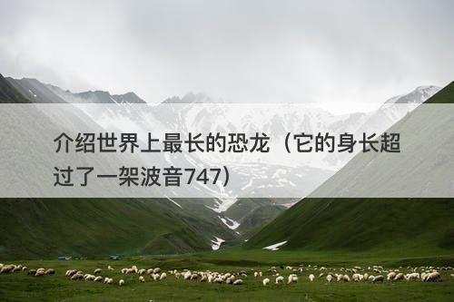 介绍世界上最长的恐龙（它的身长超过了一架波音747）