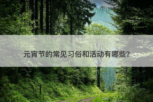 元宵节的常见习俗和活动有哪些？