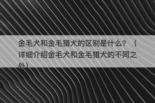 金毛犬和金毛猎犬的区别是什么？（详细介绍金毛犬和金毛猎犬的不同之处）
