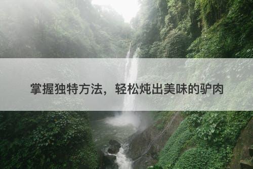掌握独特方法，轻松炖出美味的驴肉