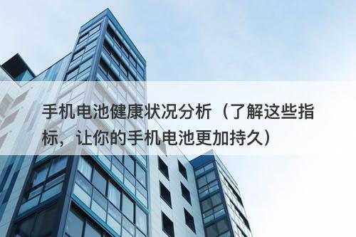 手机电池健康状况分析（了解这些指标，让你的手机电池更加持久）
