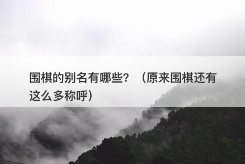围棋的别名有哪些？（原来围棋还有这么多称呼）