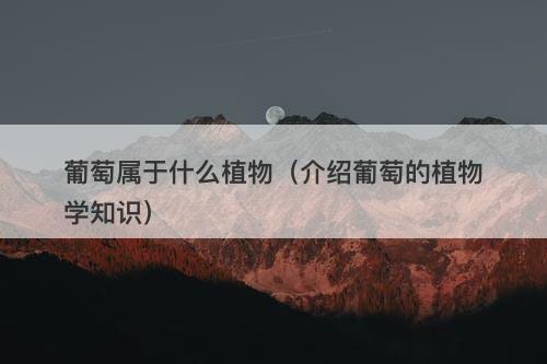 葡萄属于什么植物（介绍葡萄的植物学知识）