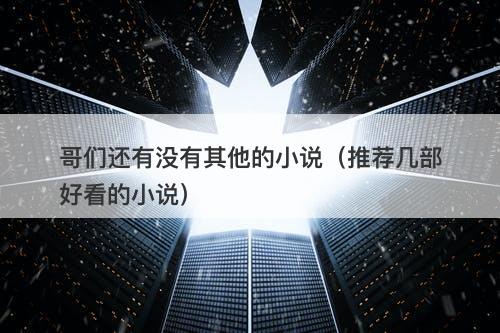 哥们还有没有其他的小说（推荐几部好看的小说）