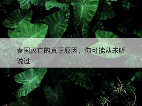 秦国灭亡的真正原因，你可能从未听说过