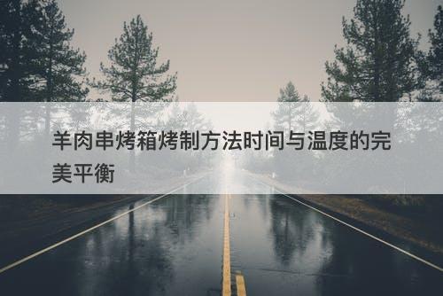 羊肉串烤箱烤制方法时间与温度的完美平衡