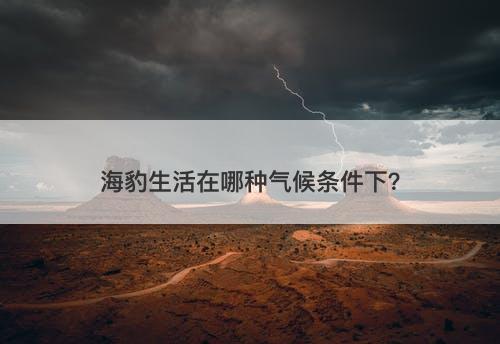海豹生活在哪种气候条件下？