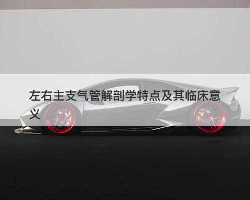 左右主支气管解剖学特点及其临床意义