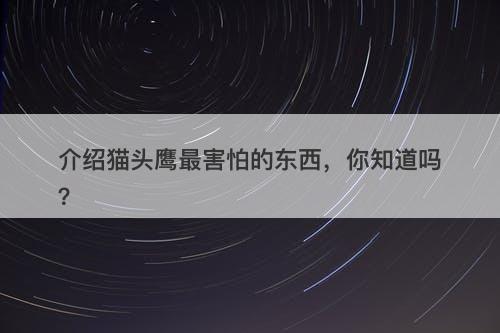 介绍猫头鹰最害怕的东西，你知道吗？