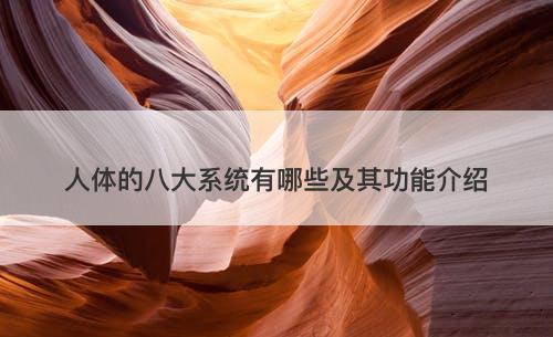 人体的八大系统有哪些及其功能介绍