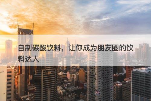 自制碳酸饮料，让你成为朋友圈的饮料达人