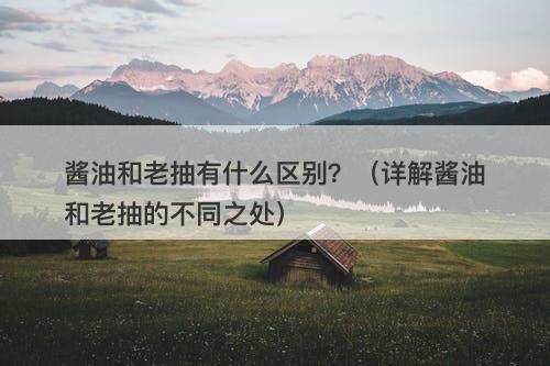 酱油和老抽有什么区别？（详解酱油和老抽的不同之处）