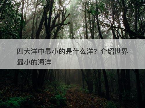 四大洋中最小的是什么洋？介绍世界最小的海洋