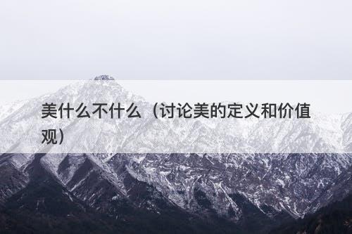 美什么不什么（讨论美的定义和价值观）
