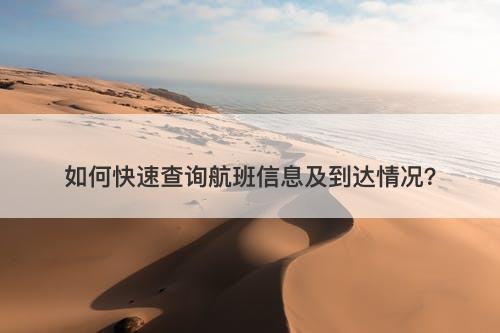 如何快速查询航班信息及到达情况？
